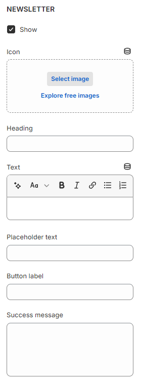 footer newsletter 